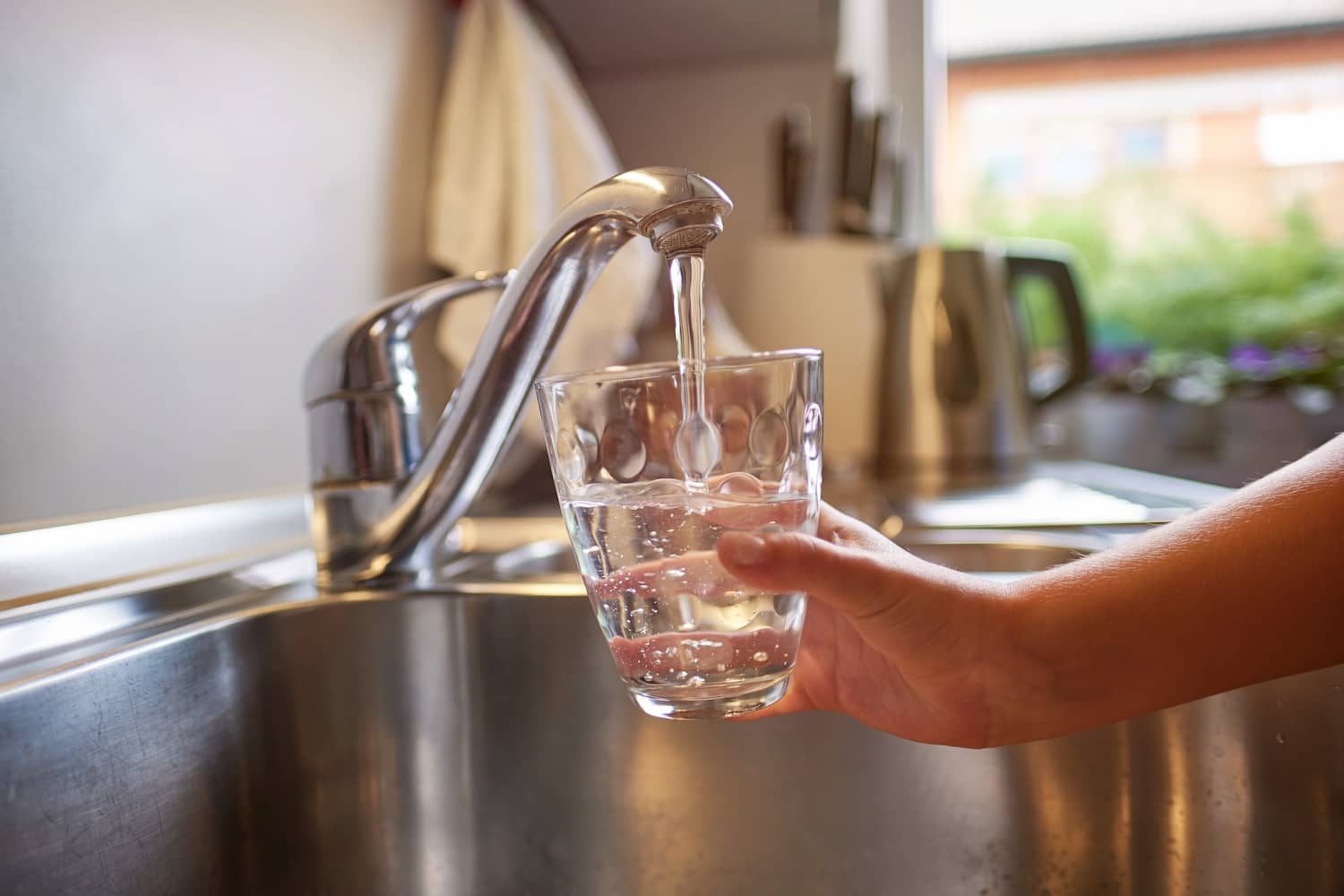 Water Quality Testing Services