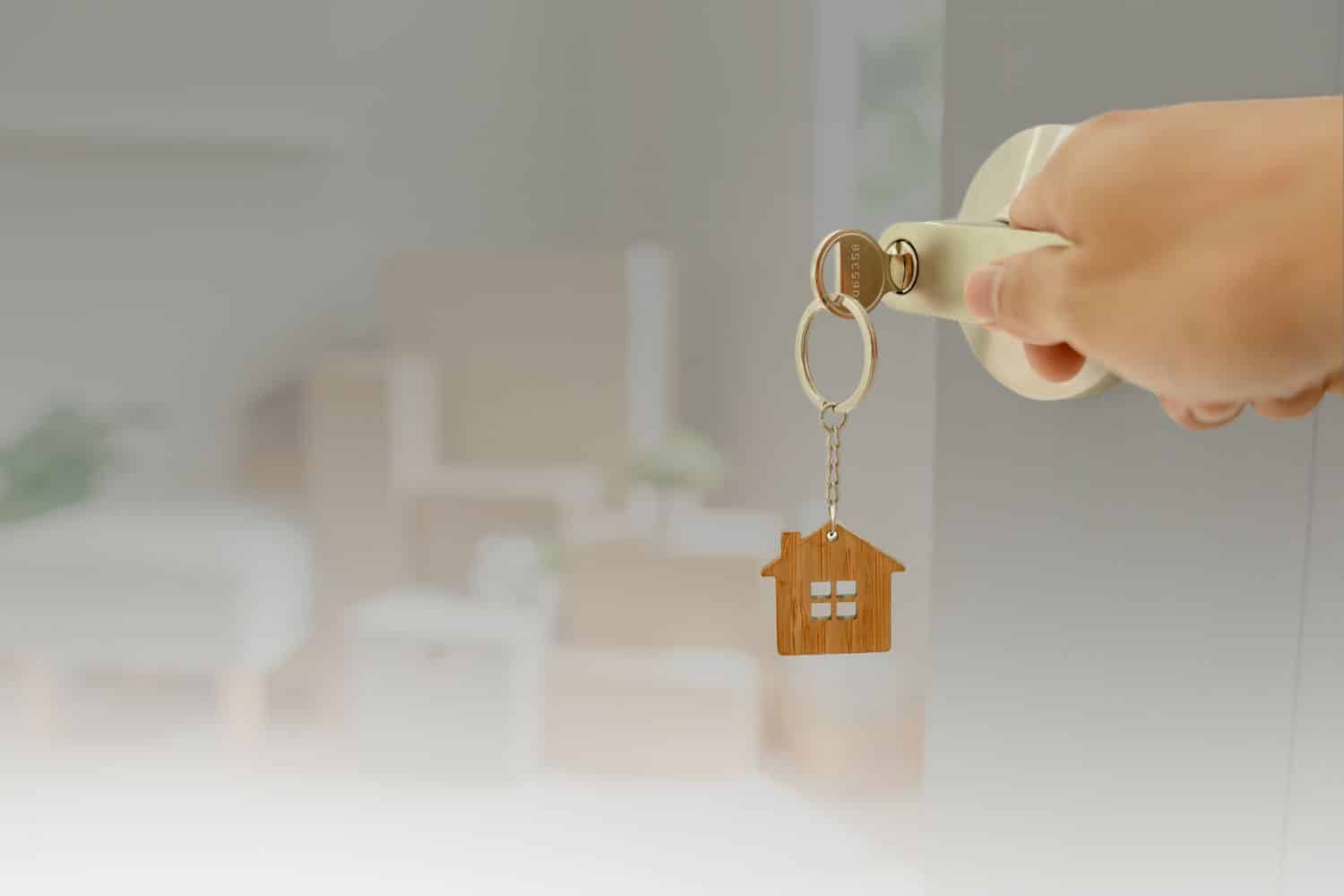 New Home Essentials: Maintenance, Security, and More