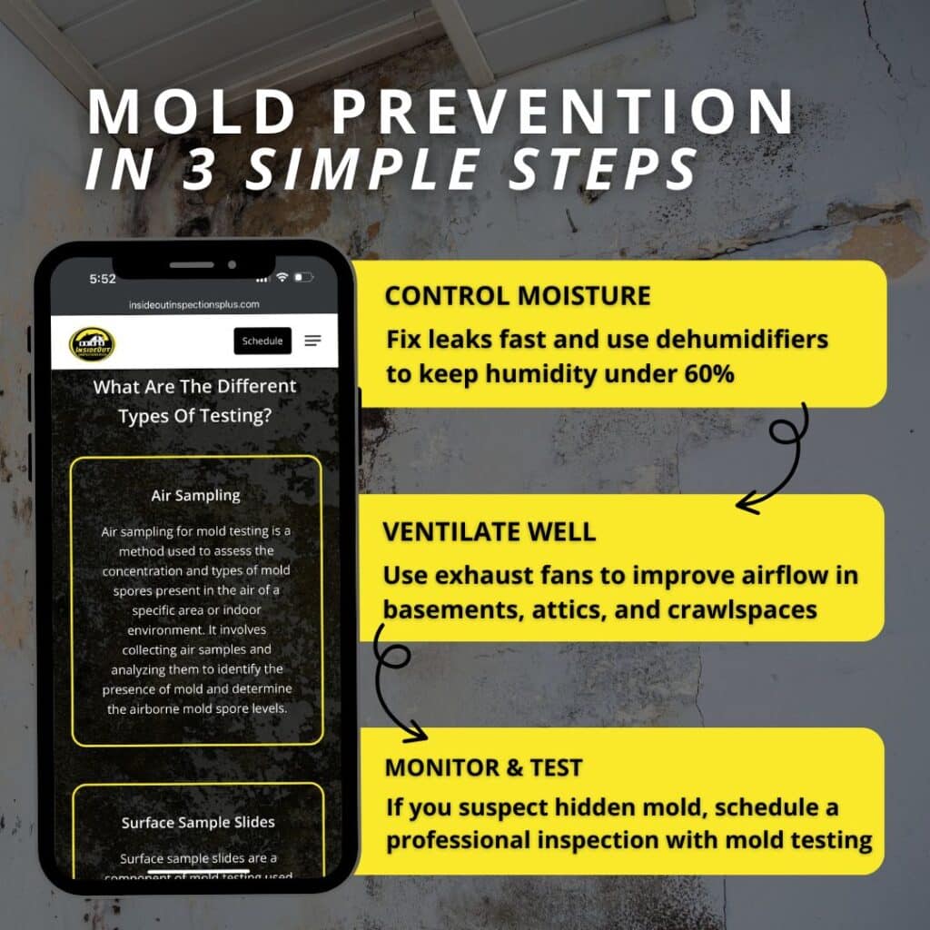 how to prevent mold and the smell that can come along with it