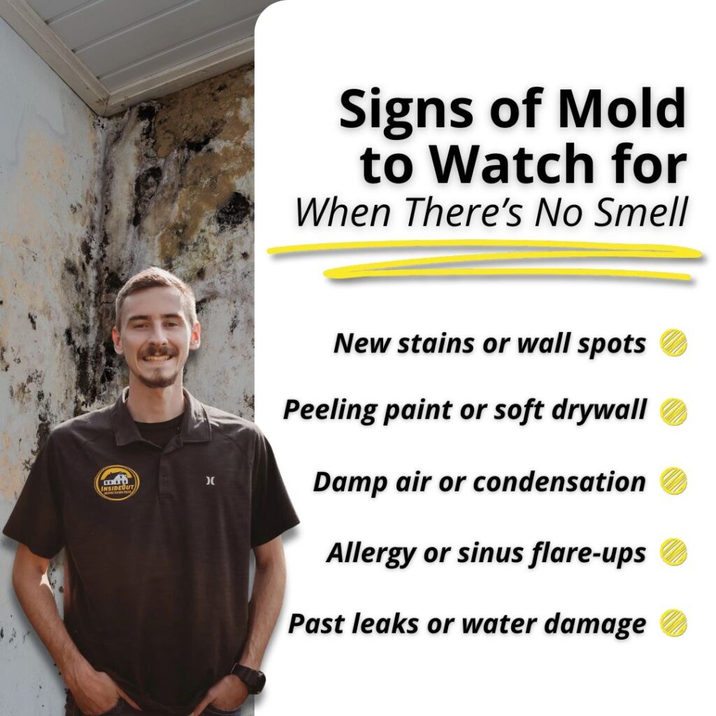mold does not always smell