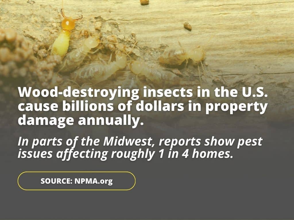 inspector and home pest activity stat