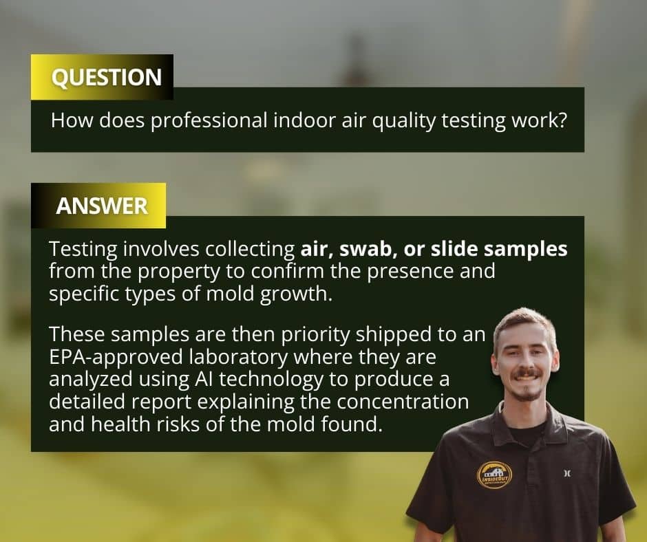 how mold and indoor air quality testing works with insideout inspections plus