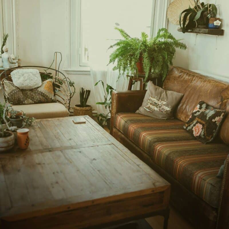 signs you need indoor air/mold testing