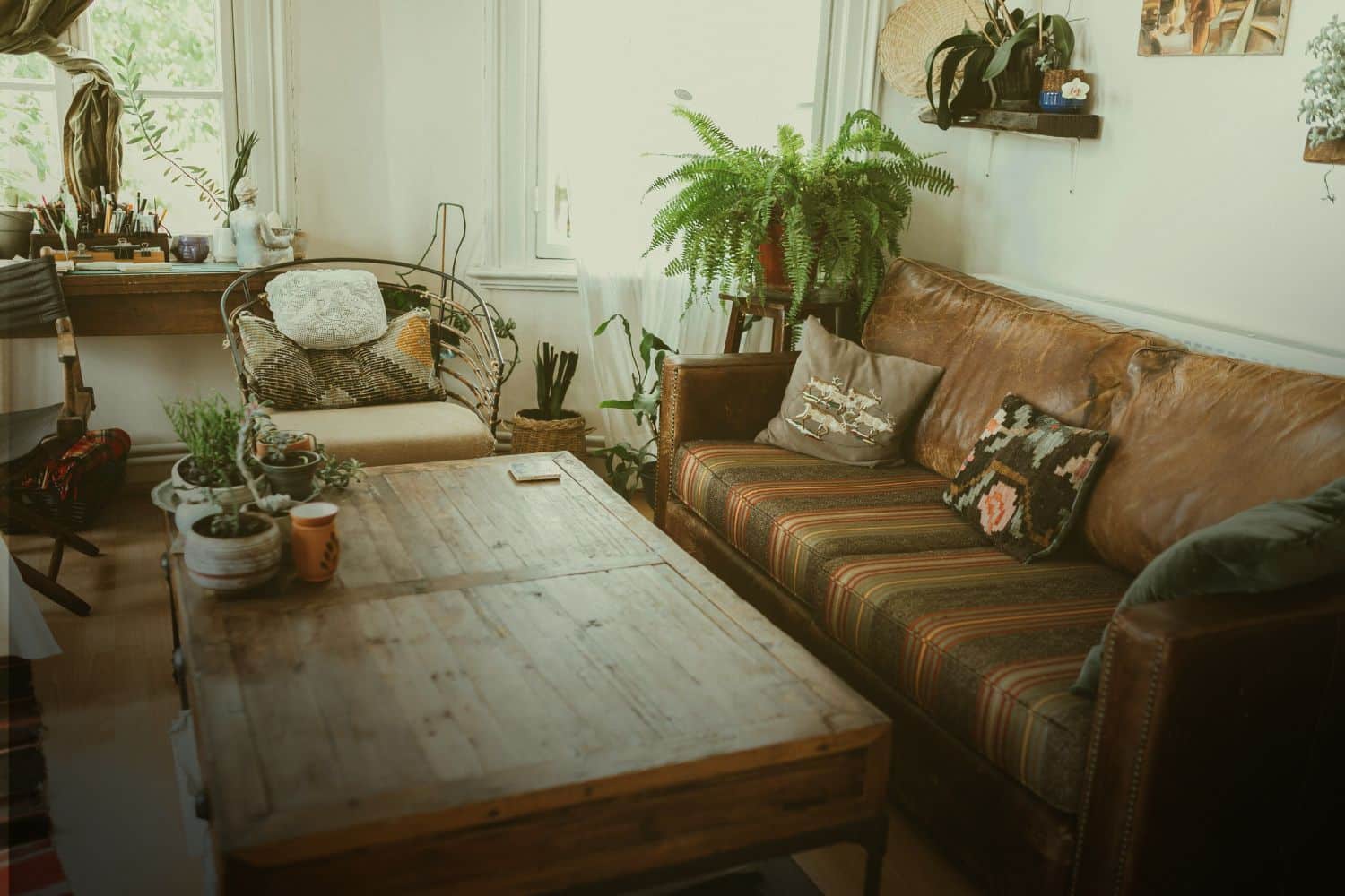 signs you need indoor air/mold testing